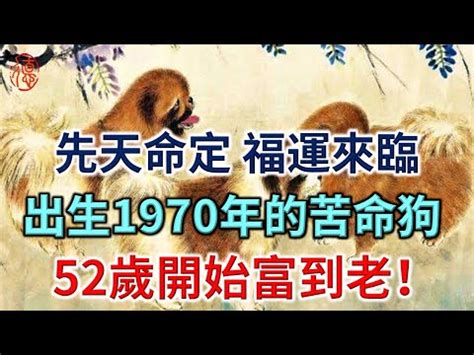 1970生肖配對|【1970生肖配對】1970年屬狗完整生肖配對懶人包：。